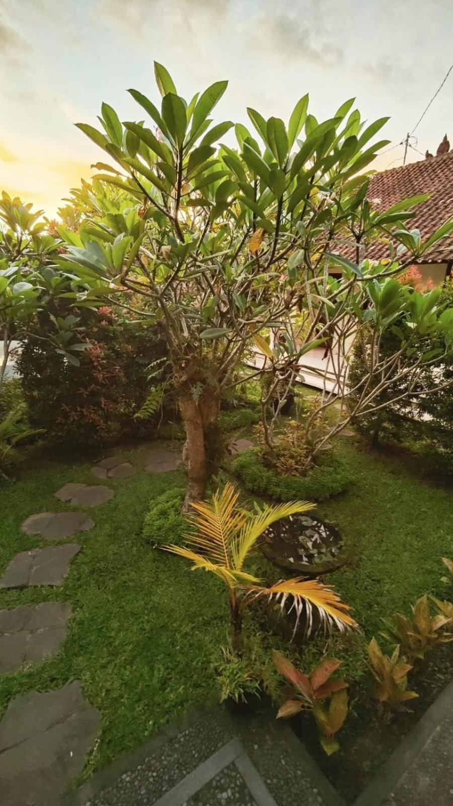 Apartmán Cucu House Ubud Exteriér fotografie