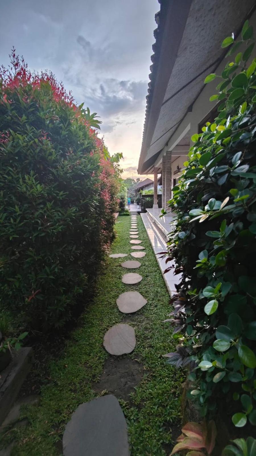 Apartmán Cucu House Ubud Exteriér fotografie